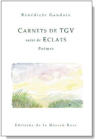 Carnets de TGV. Suivi de Éclats