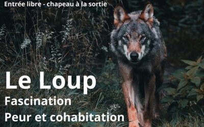 Conférence Le Loup : Fascination, Peur et Cohabitation