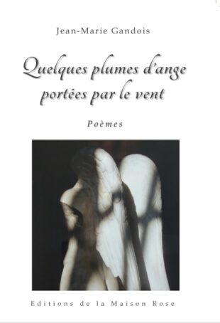 Jean-mari gandois 1