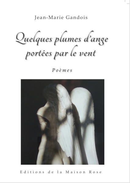 Jean-mari gandois 1